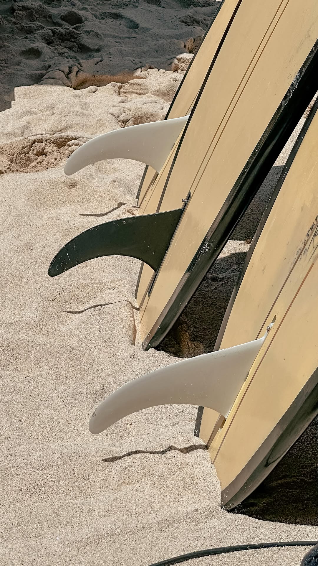 Surfboard fins resting in the sand