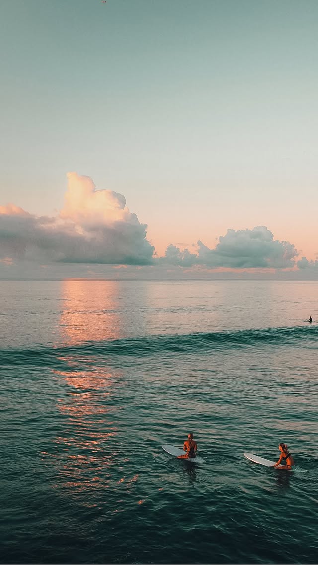 Surfers waiting for a wave at sunset